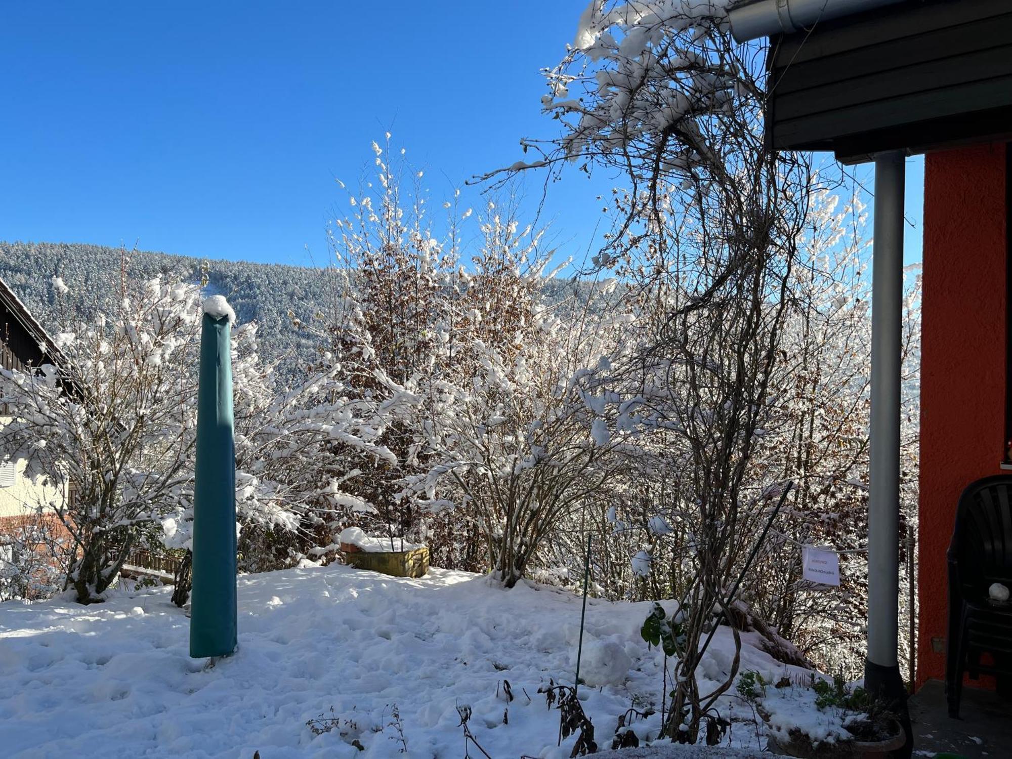 Apartamento Waldhaus Max Bad Wildbad Exterior foto