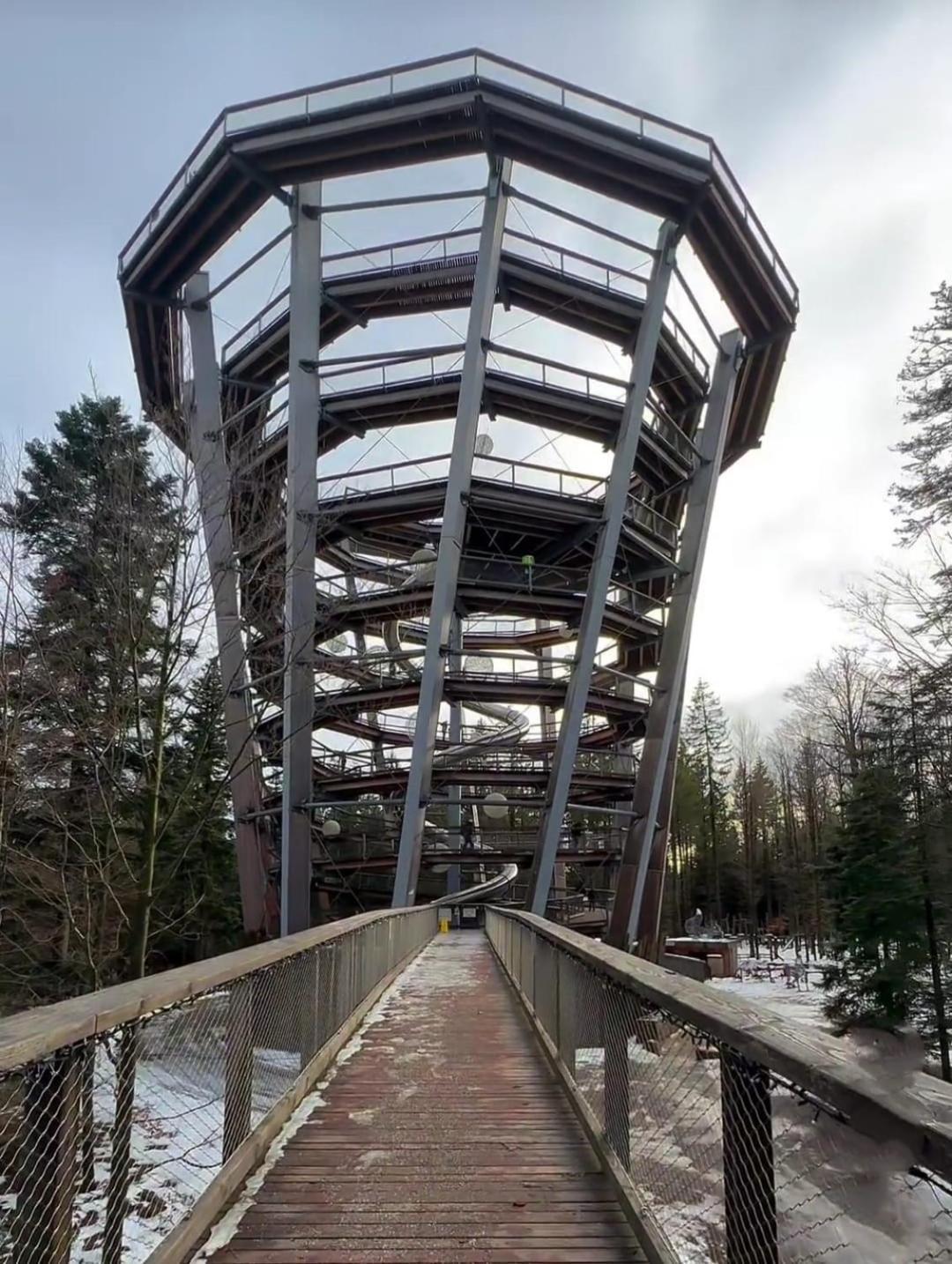 Apartamento Waldhaus Max Bad Wildbad Exterior foto