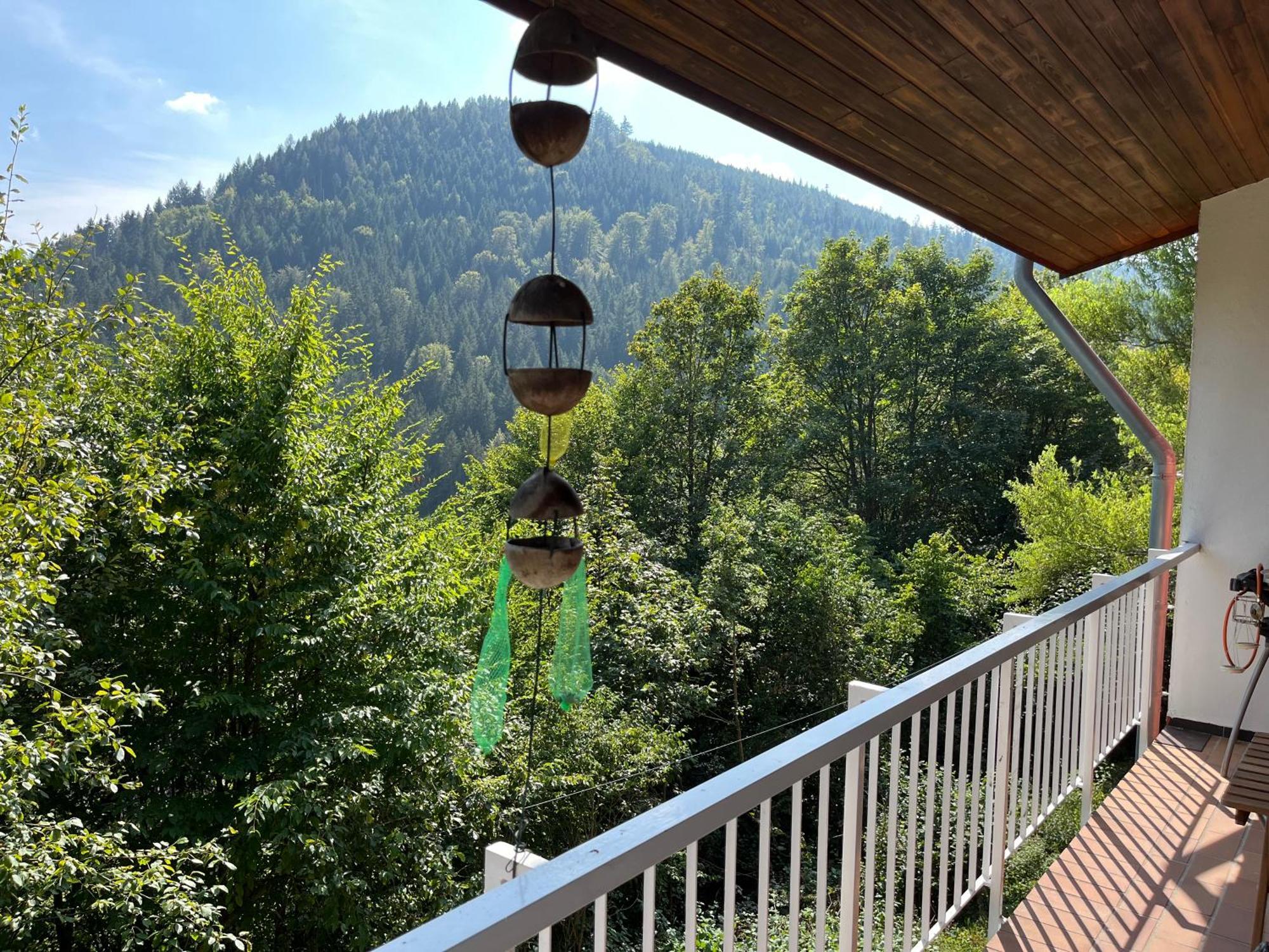 Apartamento Waldhaus Max Bad Wildbad Exterior foto